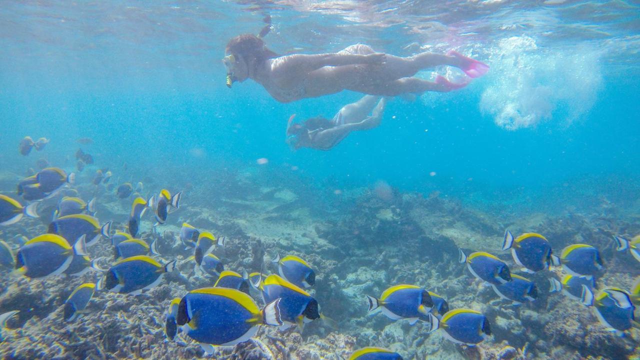 Maafolhey Han'dhaan - Ukulhas Island